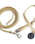 Collar & Lead Set