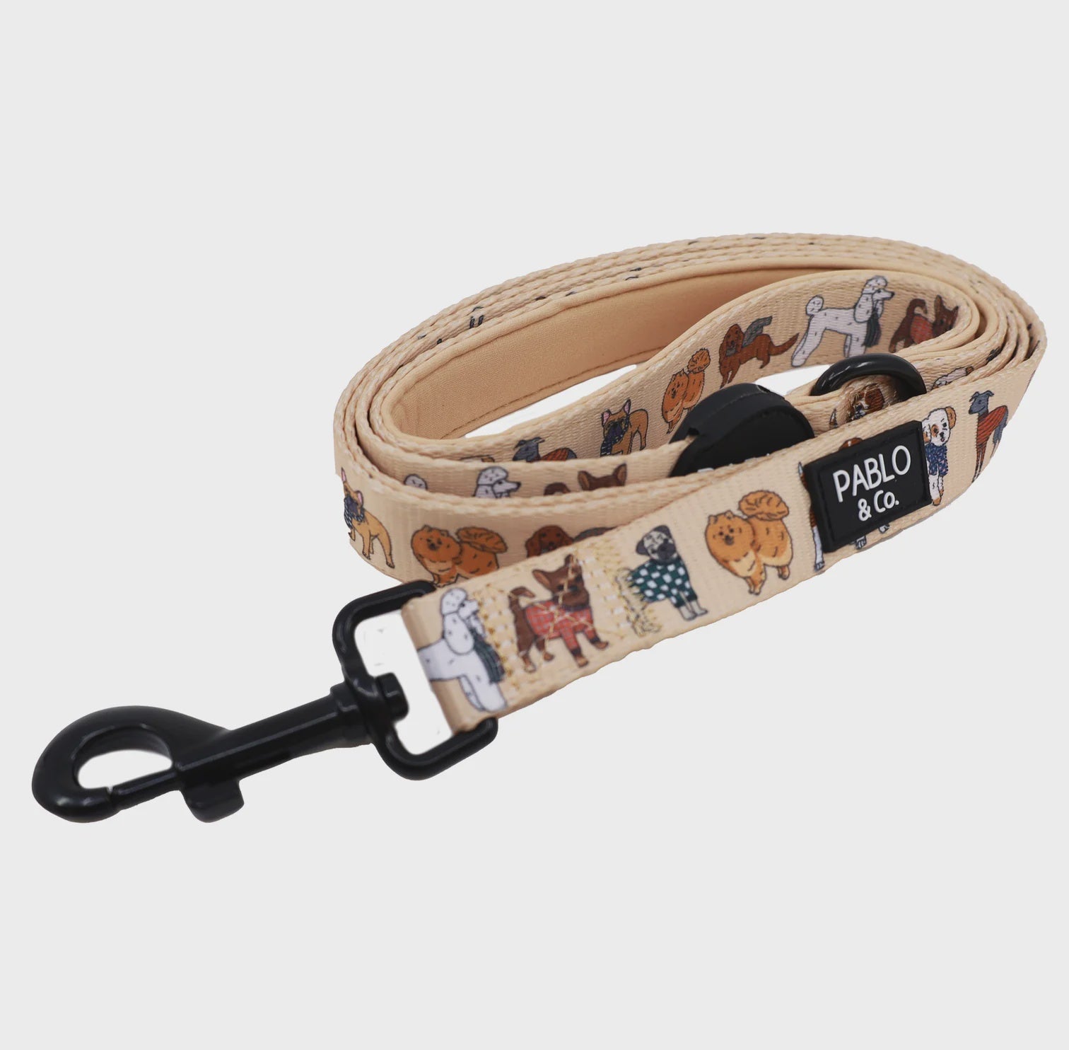 Winter Pooches: Dog Leash