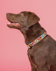 As Sweet as Garfield: Dog Collar