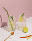 Reusable Glass Drinking Straws - Multi-colour