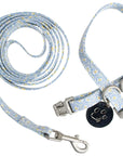 Collar & Lead Set