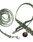 Collar & Lead Set