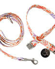 Collar & Lead Set